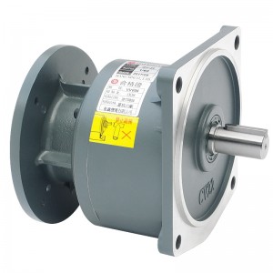 CVM  Vertical Gearmotor Speed Reducer